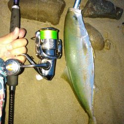 ジャイアントドックX